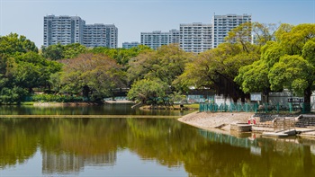 屯门公园是新界主要公园之一，为市区提供广阔平静的休憩空间。园内的树木和池塘，为居民提供怡人的景观。
